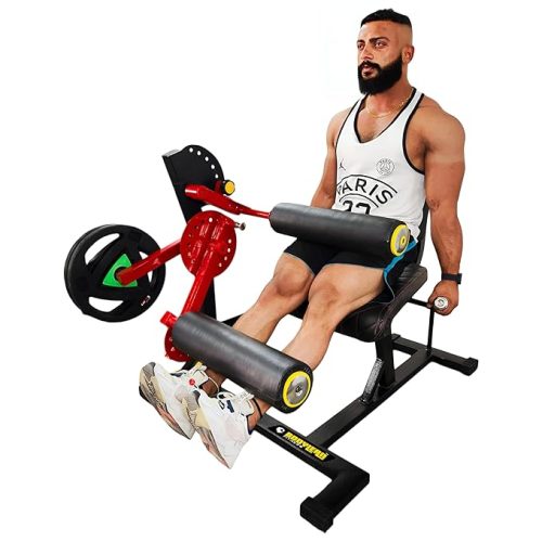 Seated Leg Curl Leg Extension